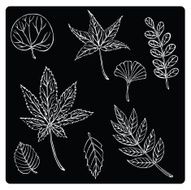 vector illustration silhouettes of different leaves