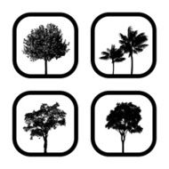 TreesForAll
