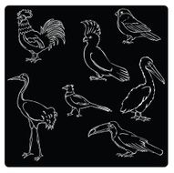 Vector silhouette of various birds N3