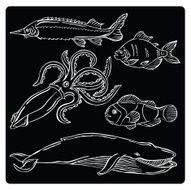 vector silhouette of different fish N3