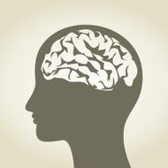 Brain N54