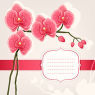 card with pink orchids