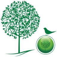 green tree and bird elements for ecology-design
