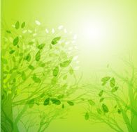 Spring background N56