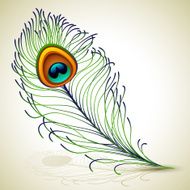 peacock feather N8
