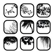 Branching
