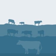 Cows silhouette graze in the field landscape pasture gray background N2