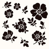 Set of flowers N25