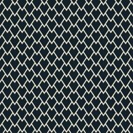 minimalistic monochrome scale pattern N2