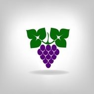 silhouette of grapes N3