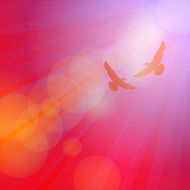 Birds seagulls silhouette on pink background sunset dawn Vector