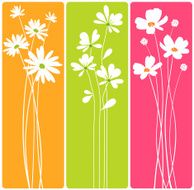 Long Stem Flowers