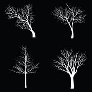 Trees with dead branch N127