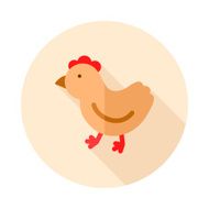 Chicken flat icon with long shadow N2