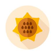 Sunflower flat icon with long shadow N2