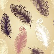 Seamless pattern with feathers N46