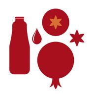 Pomegranate Vector on white background