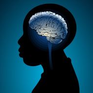Boys brains N2