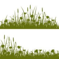 Wild flowers silhouette