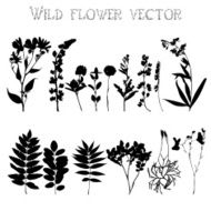 Silhouettes of wild flowers and leaves vector N12