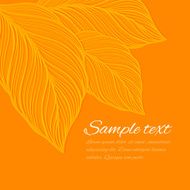 Fall Leaf Vector Illustration N3