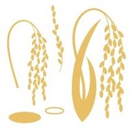 Rice N5