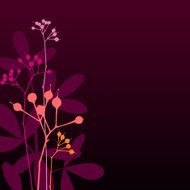 Berries N9
