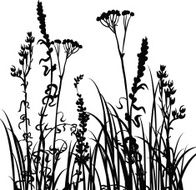 Silhouettes of flowers and grass N51