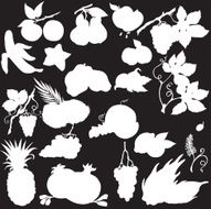 vector silhouette of different fruits