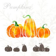 Pumpkin Icons N3