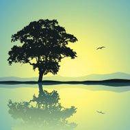 Lone Tree N3