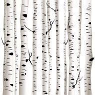 Birches in vector N3