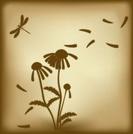 Blow camomile