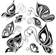 butterfly N121