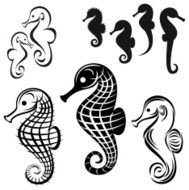 Sea Horse N10