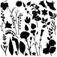 Vector silhouette of different flowers N8