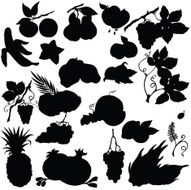 vector silhouette of different fruits N2
