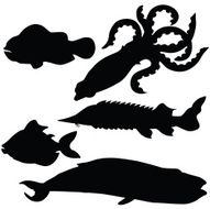 vector silhouette of different fish N4