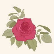 Rose Vector Illustration N2