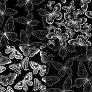 set of black and white seamless background with butterflies N2
