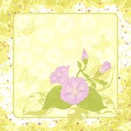 Floral background Ipomoea
