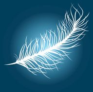 white feather