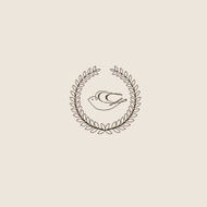 Swallow bird abstract vector logo design template N6