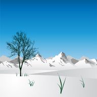Mountain landscape N14