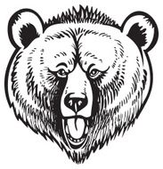 Grizzly Brown Bear Vector