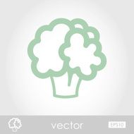 Vector Cauliflower icon