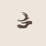 Swallow bird abstract vector logo design template N9