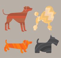 DOGS N32