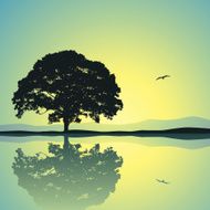 Lone Tree N5