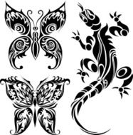 Tattoo drawings of butterflies and lizard